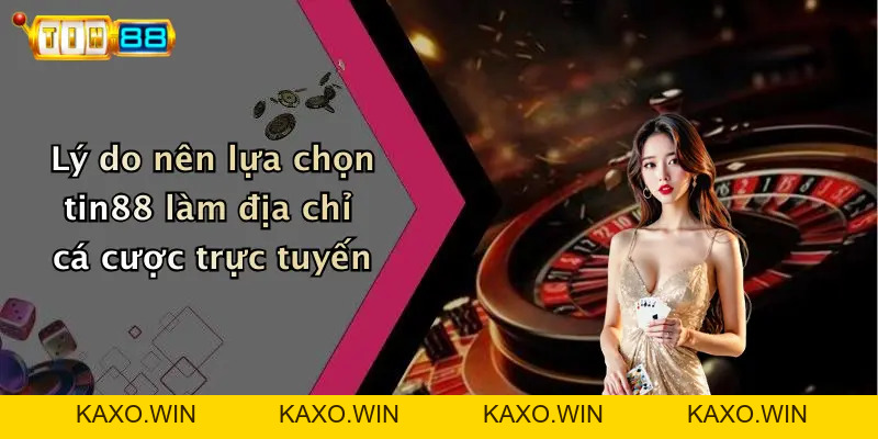 Hướng Dẫn: Trải Nghiệm TIN88 - Sân Chơi Cá Cược Thể Thao