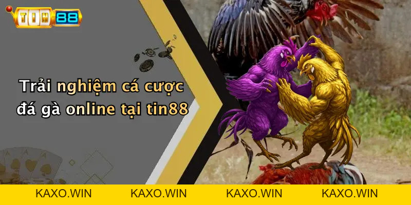 Đá Gà: Giải Mã Sức Hút Và Trải Nghiệm Cá Cược Trực Tuyến